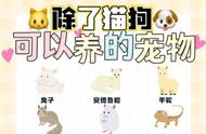 寻找新宠：除了常见的猫狗，哪些宠物能带给我们不一样的陪伴？