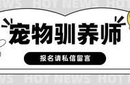 轻松报名宠物驯养师：报考条件全解析！