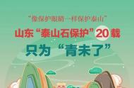 山东的'泰山石保护'：20年如一日，只为守护'青未了'