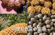 初探金刚菩提：新手必知知识