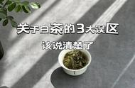 冬天不适合喝白茶？了解关于白茶的三大误解