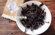 武夷岩茶入门指南：看完这5点，你将掌握70%的知识！