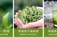 揭秘茶叶的'七宗最'，你了解多少？看过的人都收藏了