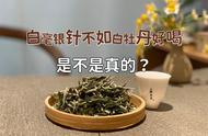 新手的警告：白毫银针真的比白牡丹好吗？