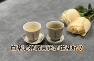 白茶收藏指南：散茶和饼茶，哪个更适合你？