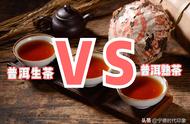 探索普洱茶：茶类、功效与泡制方法