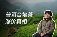 揭秘：高价买入的“古树茶”，真的值得吗？