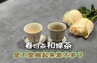 春白茶和绿茶的区别：一文读懂四点关键差异