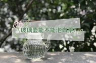 玻璃壶泡白茶：3大优势与3大劣势，喝前必看