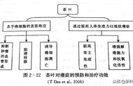 揭秘白茶的9大健康益处：专家科学论证