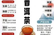 深入了解普洱茶：一篇文章全掌握