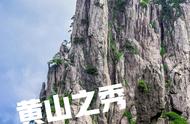 雾漫黄山：毛峰茶的奇妙生长之旅