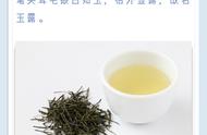 珍稀蒸青绿茶：恩施玉露的传奇故事