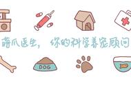 你知道“中华名犬”獢獢的正确读音吗？