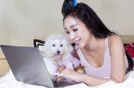 女性偏爱的六种犬类，网上热议：拥有它们是幸福的象征