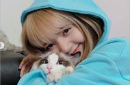 BLACKPINK成员LISA的宠物猫合影大公开