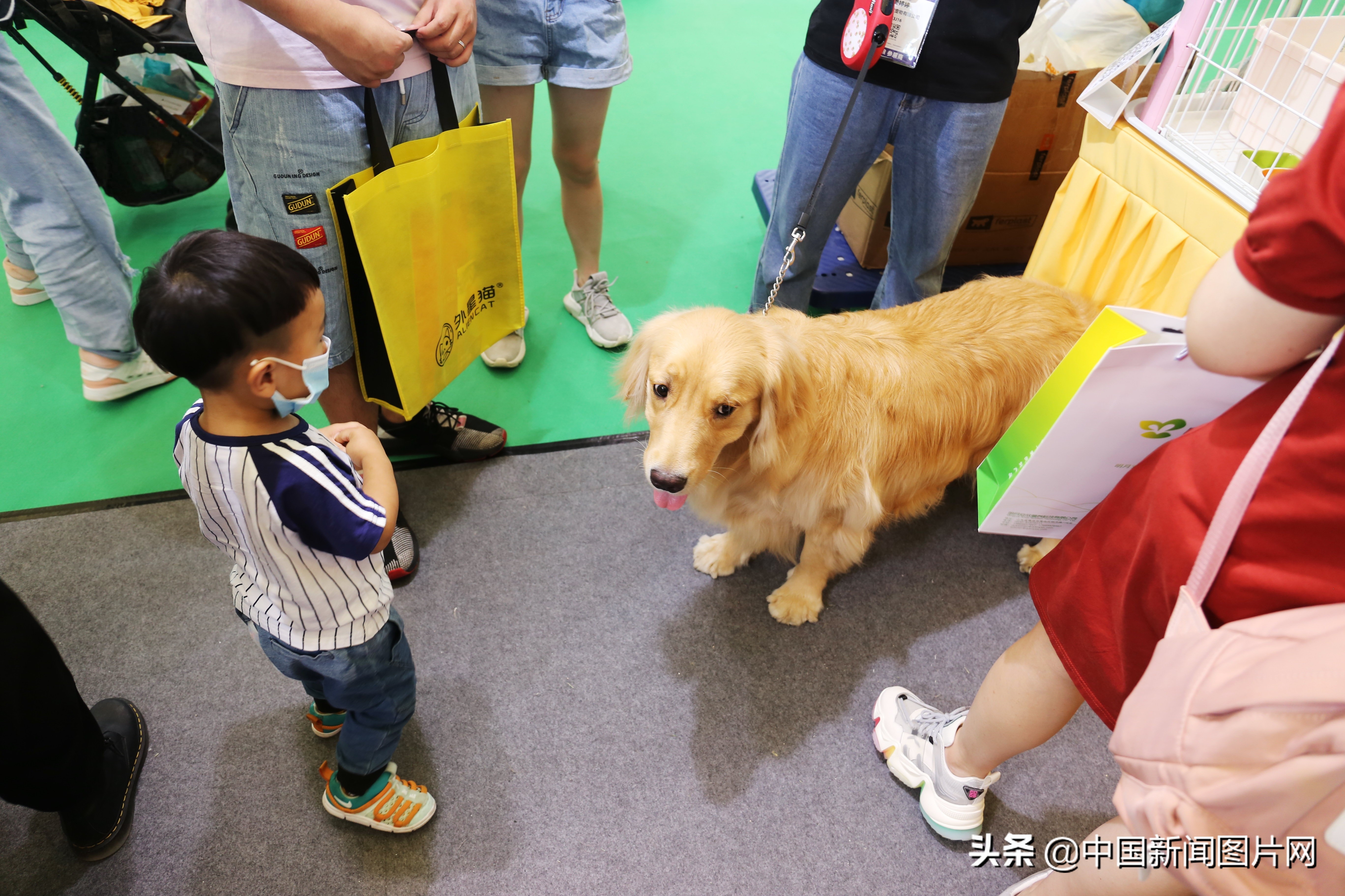 第23届亚洲宠物展览会在上海开幕