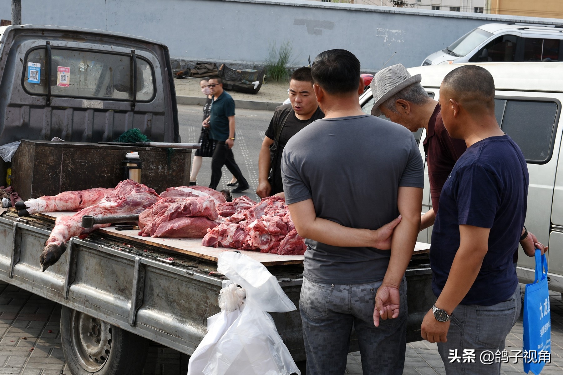 内蒙古最大花鸟市场：花鸟虫鱼肉蛋奶啥都有，但这些东西请别买