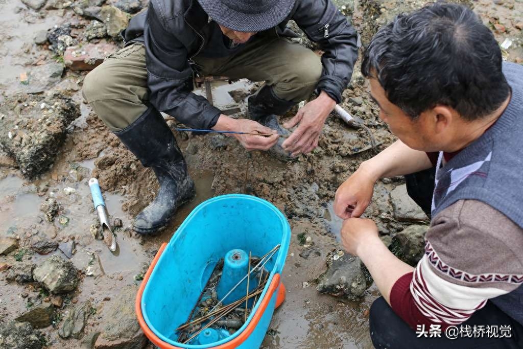 绝活！老青岛用毛笔钓虾虎