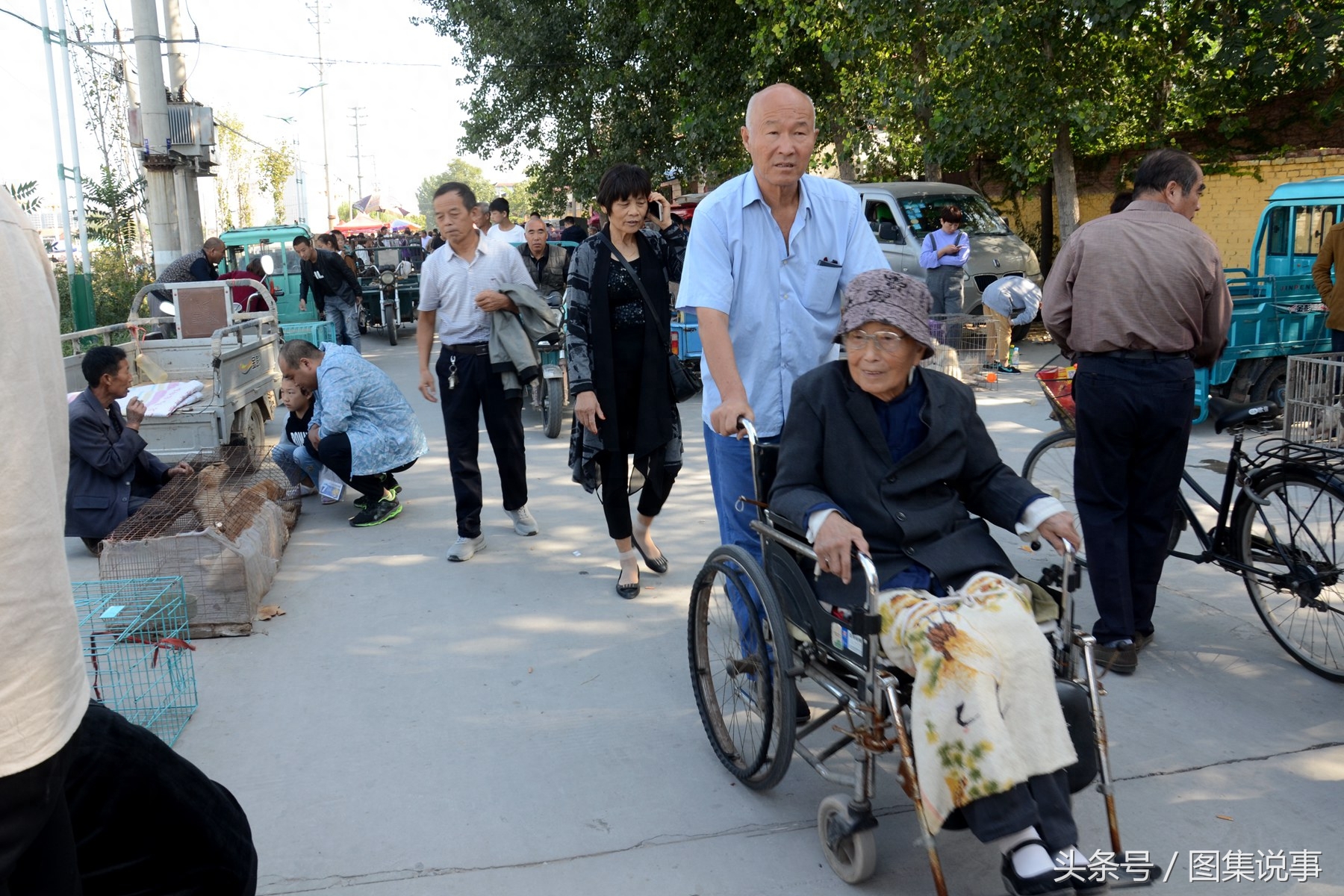 大姐600元买到白色博美，抱到一旁转手卖1200元