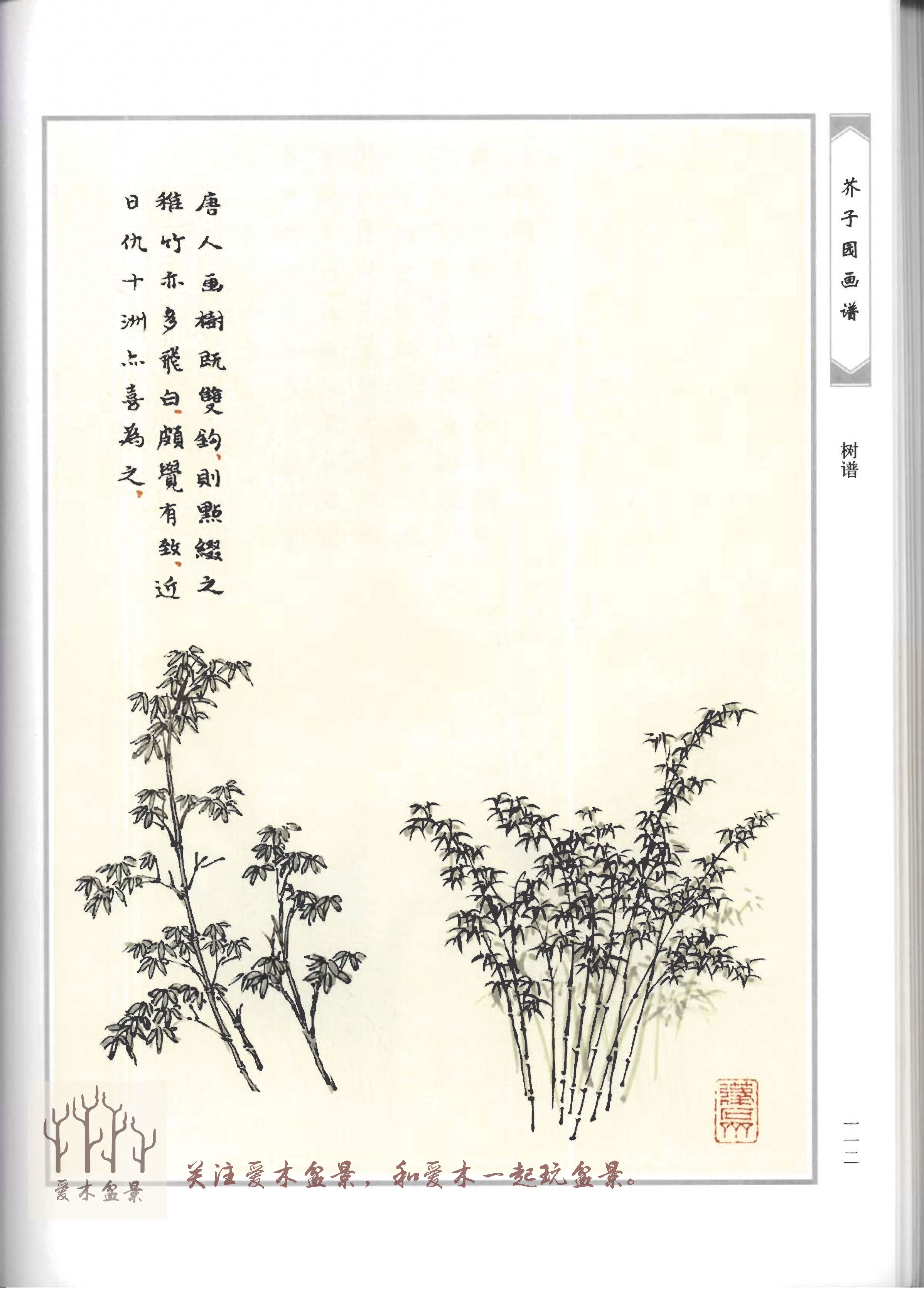 爱木盆景I《芥子园画谱-树谱》分享结文，盆景造型值得参考的范例